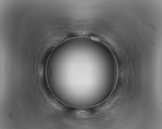 X0000111190315200907081301