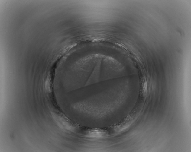 X0000111190316200907081301