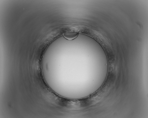 X0000111190317200907081301