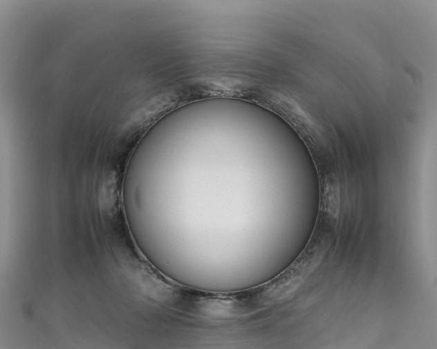 X0000111190318200907081301