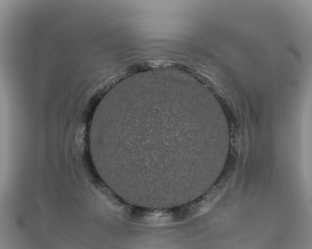 X0000111190319200907081301