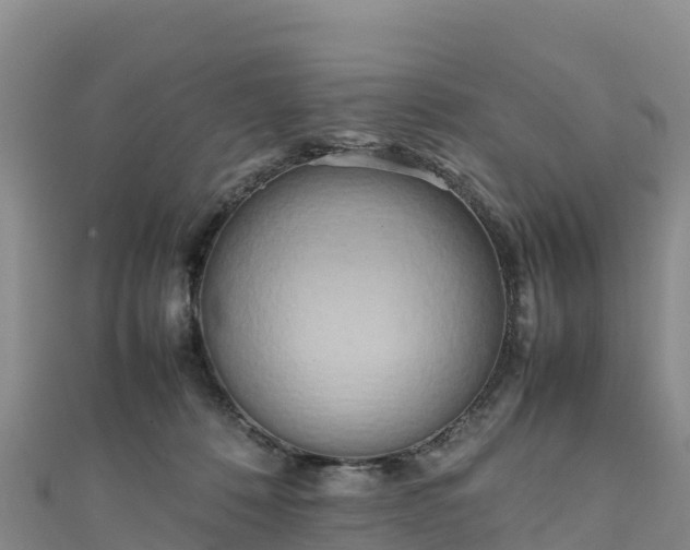 X0000111190320200907081301