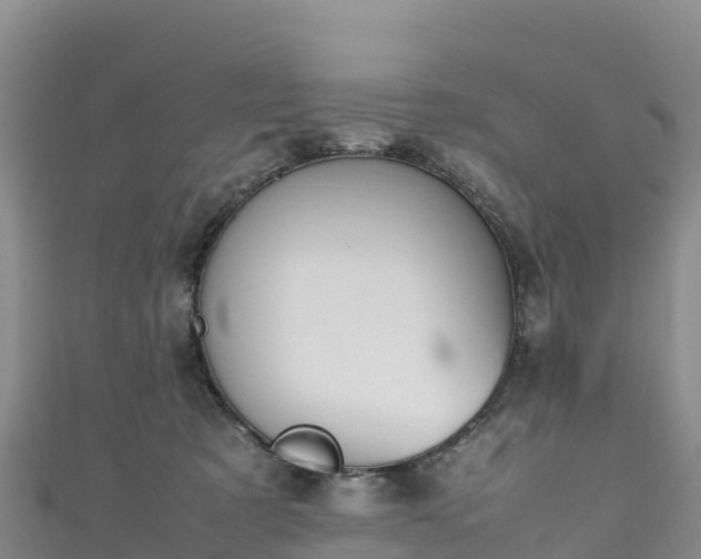 X0000111190321200907081301