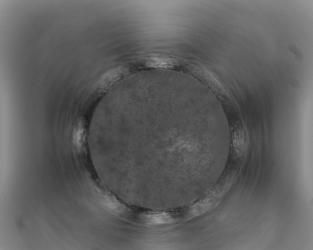 X0000111190322200907081301