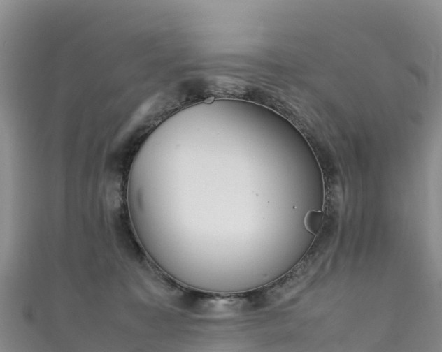 X0000111190323200907081301