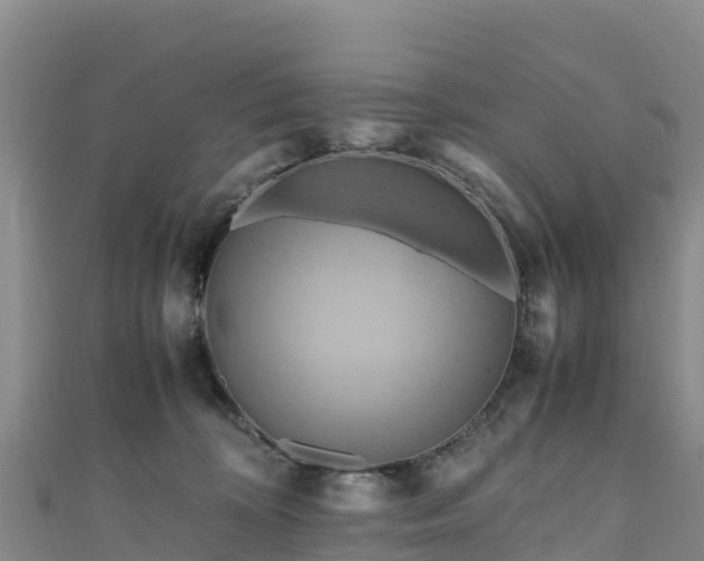 X0000111190324200907081301