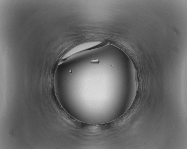 X0000111190325200907081301