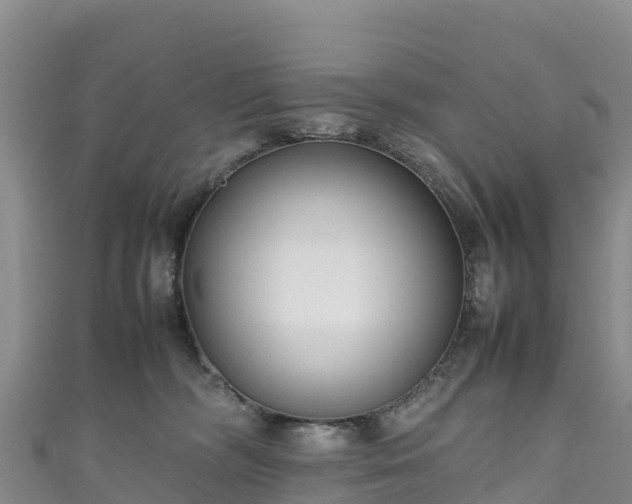 X0000111190326200907081301