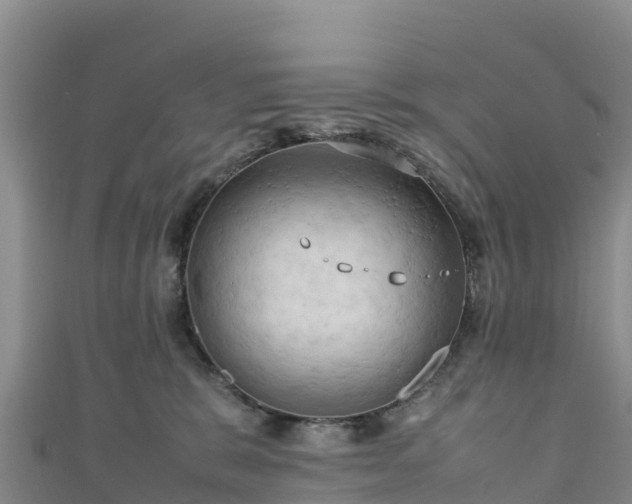 X0000111190327200907081301