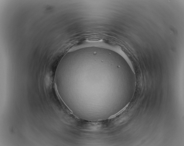 X0000111190328200907081301