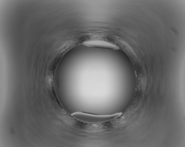 X0000111190329200907081301