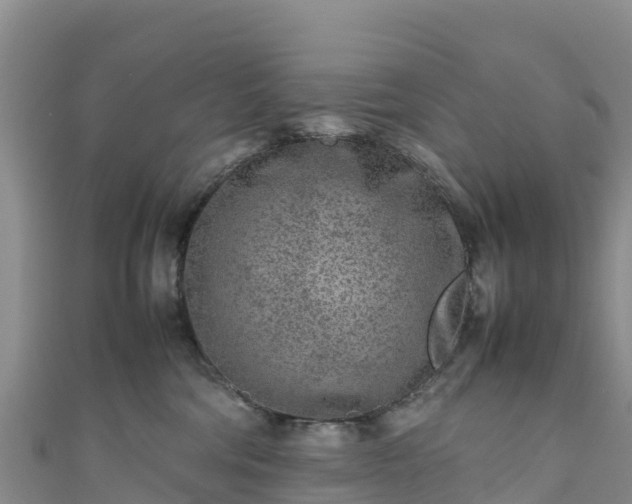 X0000111190330200907081301