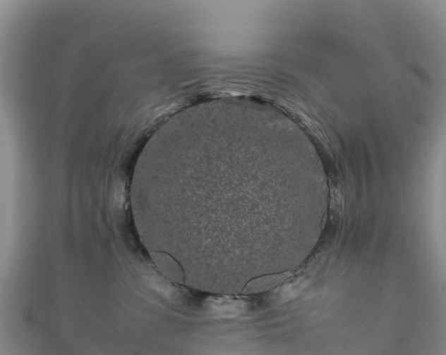 X0000111190331200907081301