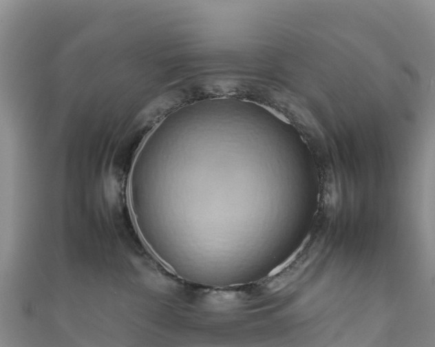 X0000111190332200907081301