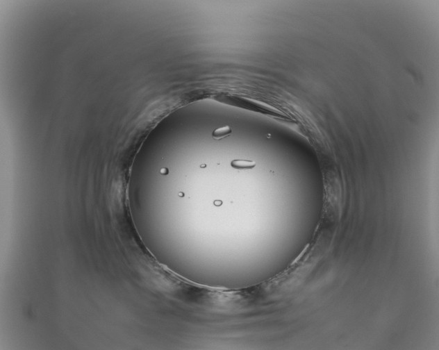 X0000111190333200907081301