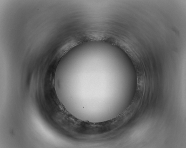 X0000111190334200907081301