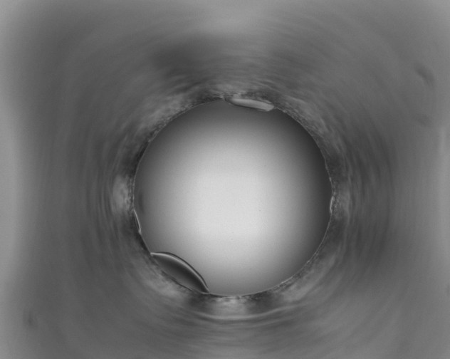 X0000111190335200907081301