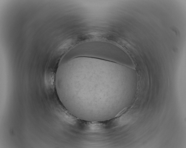 X0000111190336200907081301