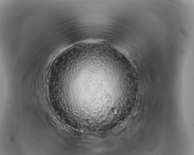 X0000111190337200907081300