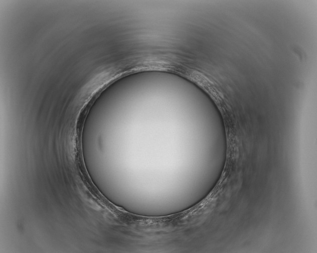 X0000111190338200907081300