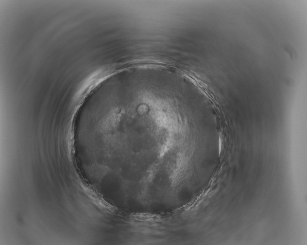 X0000111190339200907081300