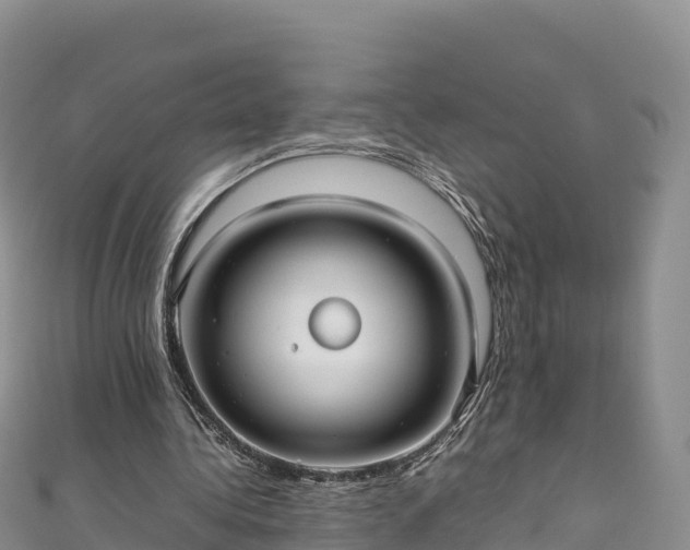 X0000111190340200907081300