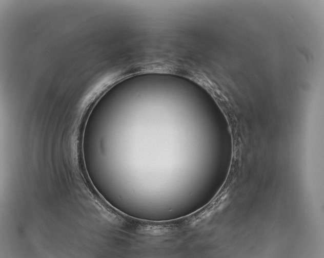 X0000111190341200907081300