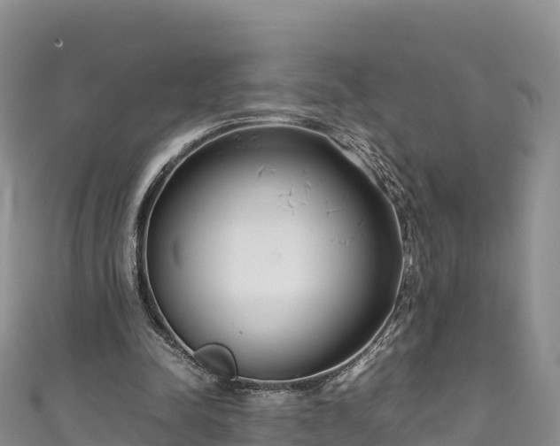 X0000111190342200907081300