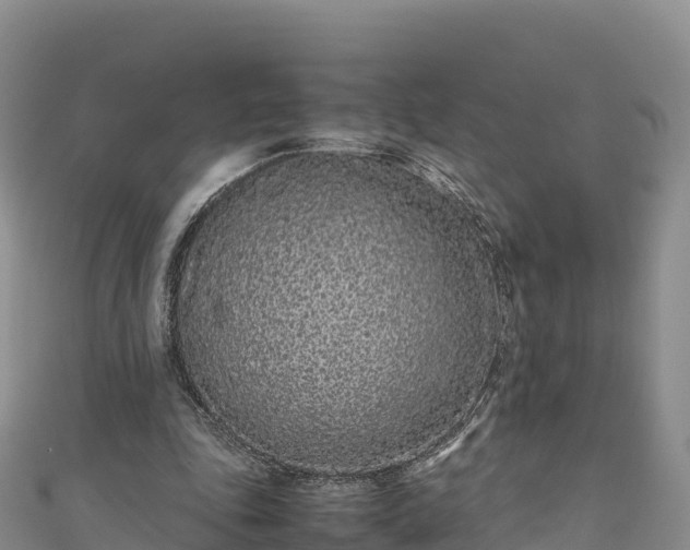 X0000111190343200907081300