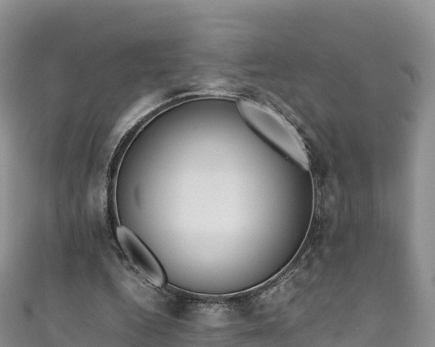 X0000111190344200907081301