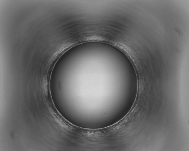 X0000111190345200907081301