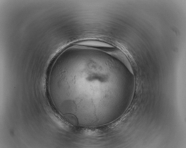 X0000111190346200907081301