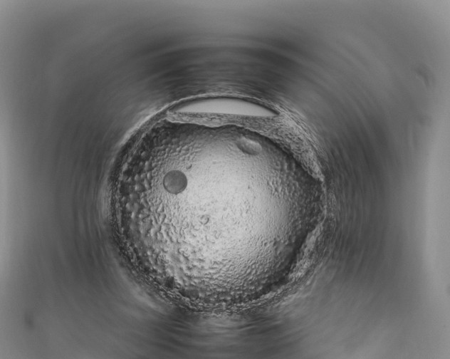 X0000111190347200907081301