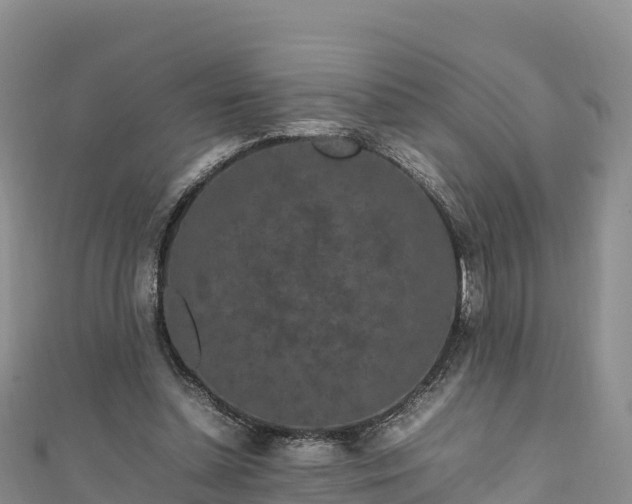 X0000111190348200907081301