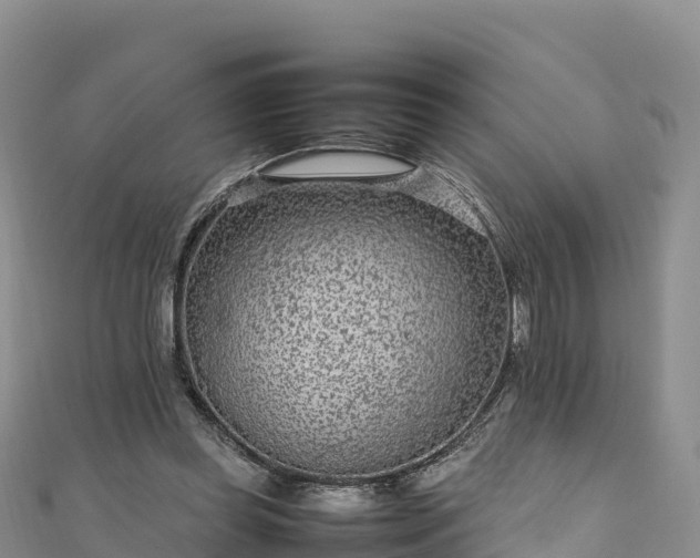 X0000111190349200907081301