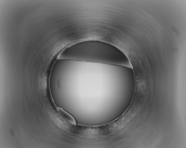 X0000111190350200907081301