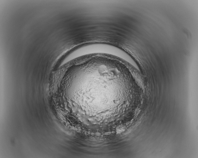 X0000111190351200907081301