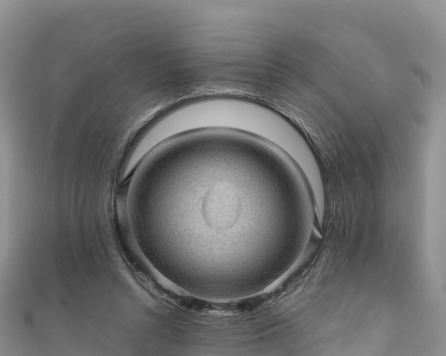 X0000111190352200907081301