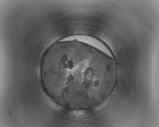 X0000111190353200907081301