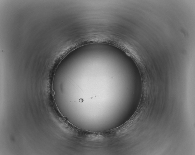 X0000111190354200907081301