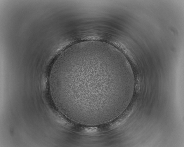 X0000111190355200907081301