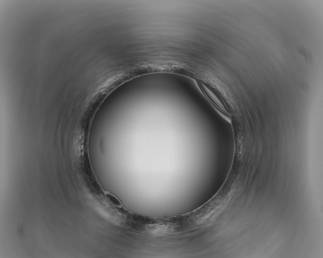 X0000111190356200907081301