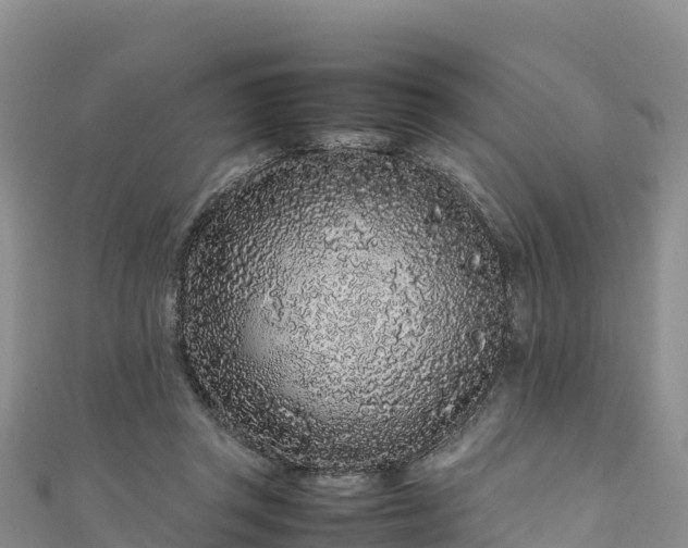 X0000111190357200907081301