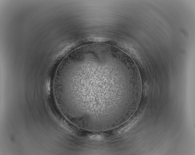 X0000111190358200907081301