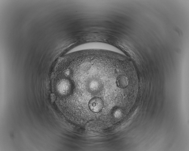 X0000111190359200907081301