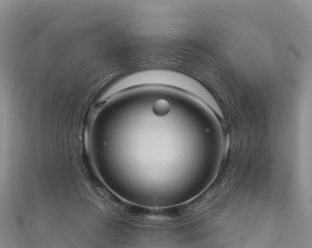 X0000111190360200907081301