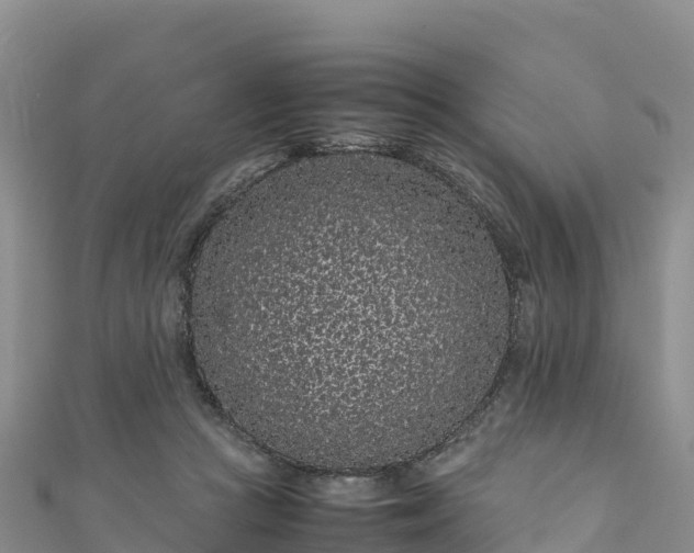 X0000111190361200907081301