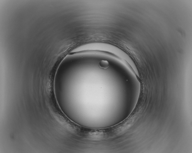 X0000111190362200907081301