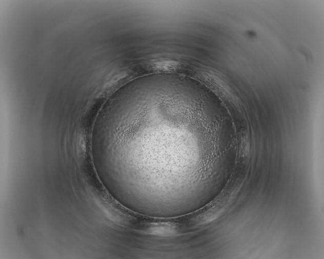 X0000111190363200907081301