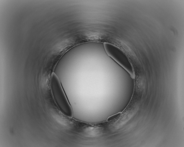 X0000111190364200907081301